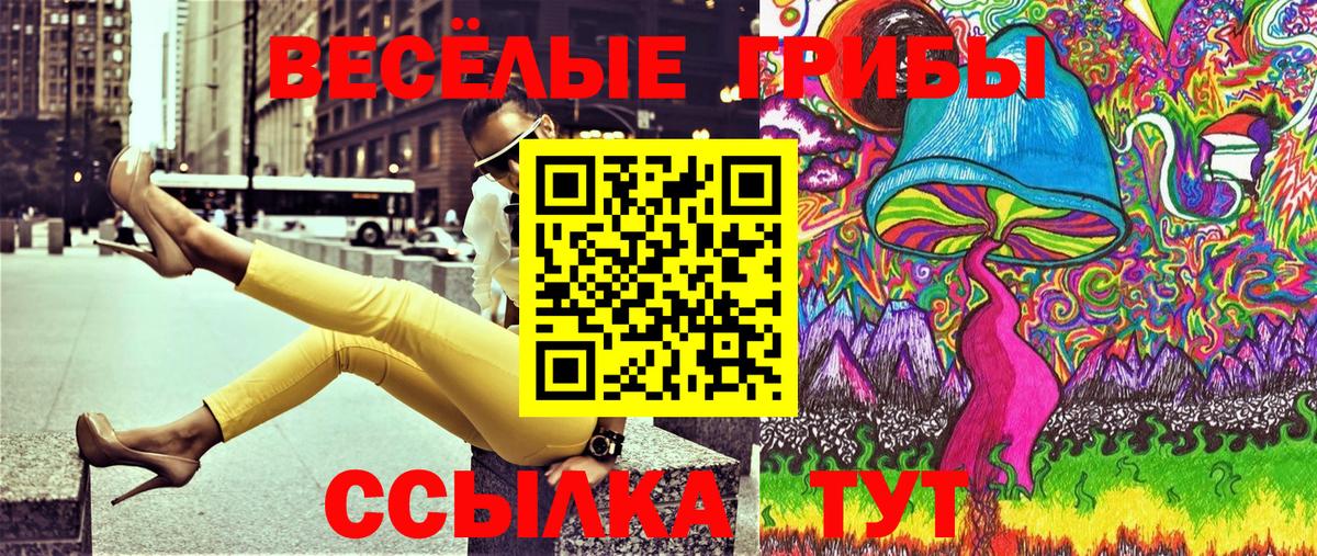 Псилоцибиновые грибы Cubensis Череповец
